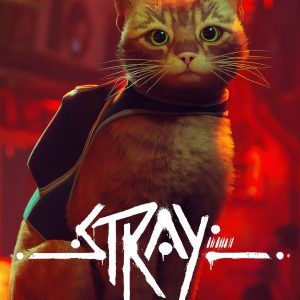 Stray Steam Altergift