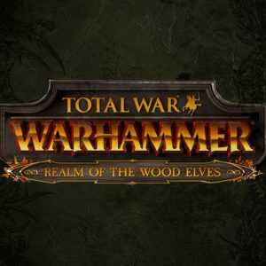Total War: Warhammer - Realm of The Wood Elves DLC Steam CD Key