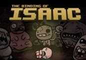 The Binding of Isaac + Wrath of the Lamb DLC Steam CD Key