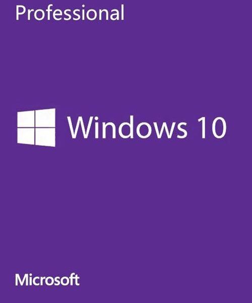 Windows 10 Professional OEM