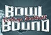 Bowl Bound College Football Steam CD Key