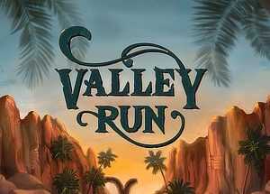 Valley Run Steam CD Key