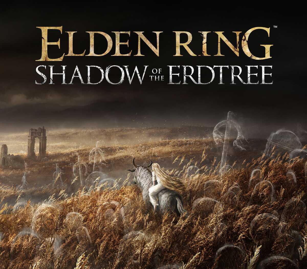 ELDEN RING - Shadow of the Erdtree DLC PRE-ORDER EU Steam CD Key